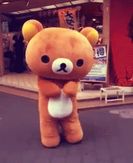 relax bear